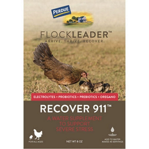 Flockleader, Perdue Flockleader Recover 911 Poultry Supplement, 8 Oz, Powder Flockleader