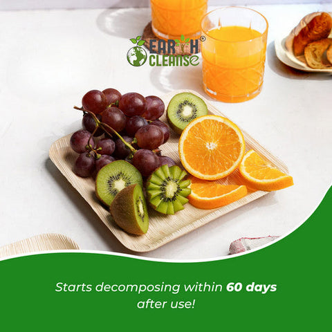 Earth Cleanse, Areca Palm Leaf Square Plates 8-Inch, Pack of 200 Earth Cleanse